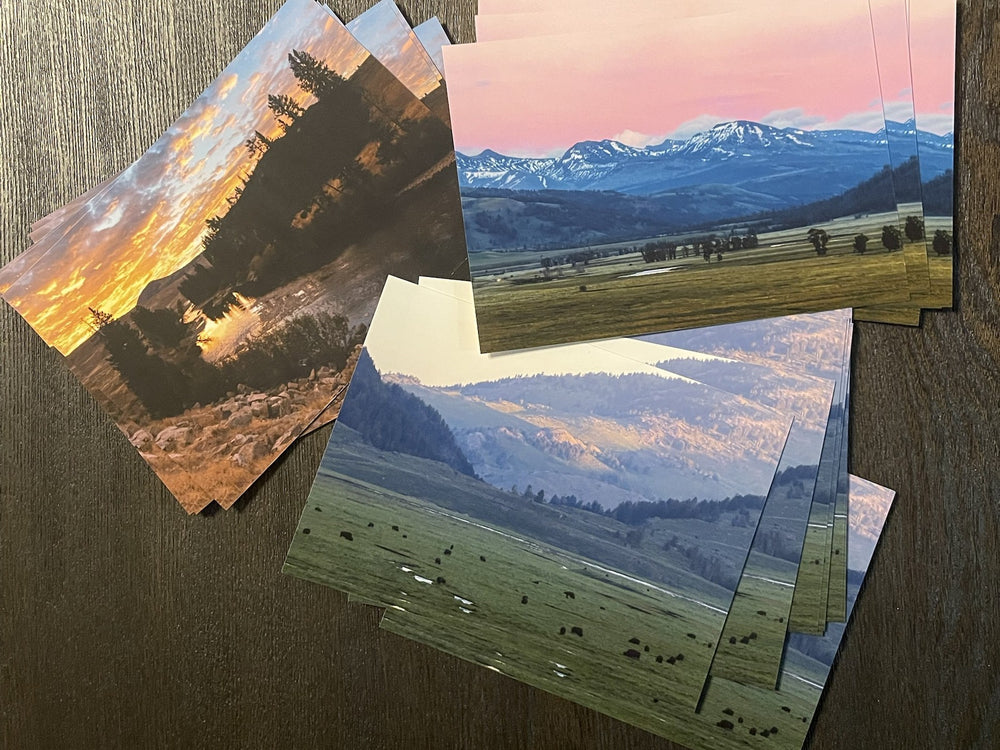 Park photography print