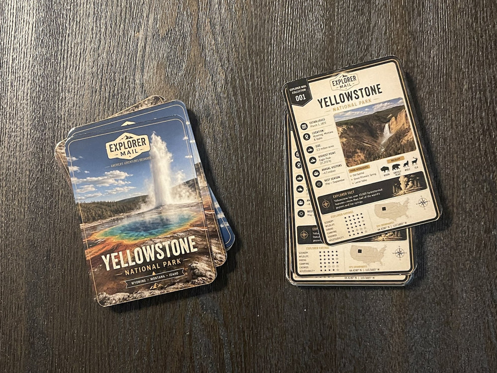 The collectible trading card